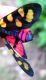 DSCN7767_1373.JPG