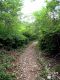 DSCN7805_1409.JPG