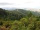 DSC00511.JPG