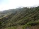 DSC00516.JPG