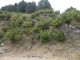 DSC00506.JPG