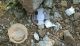 DSCN8043_1647.JPG