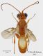 Habitus_web_small.jpg