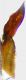 ed-copto-unif-lato.jpg