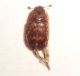 DSC01090.JPG