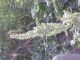 DSCN1610.JPG