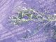 DSCN1611.JPG