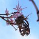 DSCN1055.JPG