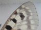 DSC00527.JPG
