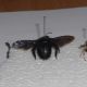 DSCN1143.JPG