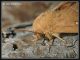 IMG_8908r.jpg