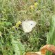 DSCN1255.JPG