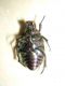 DSCN4629.JPG