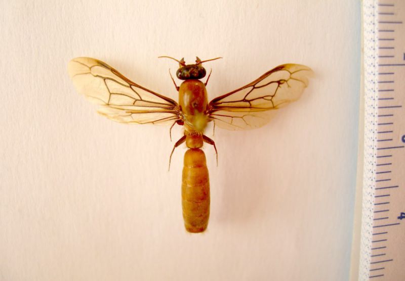 DSCN8874.JPG