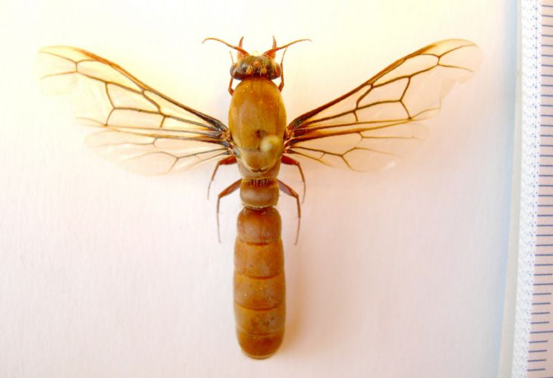 DSCN8873.JPG