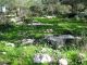 11. 2011.03.03 Kiryat Ata.JPG