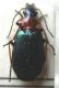 DSCN2385.JPG