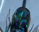 DSCF2175.JPG