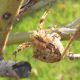 DSCN1663.JPG