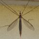 DSCN1554.JPG