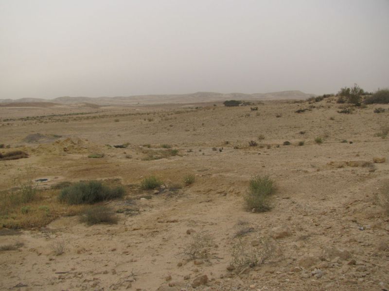 18. Desert Negev. 2011.05.05..jpg