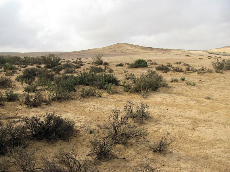 16. Desert Negev. Shivta. 2011.05.06..jpg