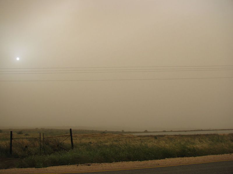 53. Khamsin. 2011.05.07.jpg