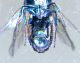 DSCF2220.JPG