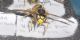 DSCN1716.JPG