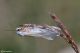 DSC_8727pbase.jpg