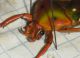 DSCF2530.JPG