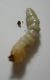 DSCN5822.JPG