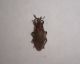 DSC01478.JPG