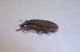 DSC01480.JPG