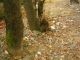 CIMG0583 (800x600) (640x480).jpg