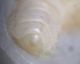DSCN5839.JPG