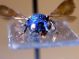 DSCF2291.JPG