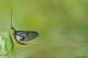 DSC_9147pbase.jpg