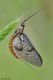 DSC_9140pbase.jpg