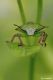 DSC_1038pbase.jpg