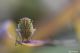 DSC_9660bpbase.jpg