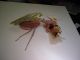 DSC01524.JPG