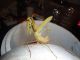 DSC01516.JPG