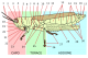 Orthoptera_morphology-it.png