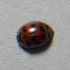 DSCN2461 - Copia.JPG