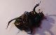 DSC01634.JPG