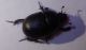 DSC01638.JPG