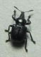 DSCN3112 - Copia.JPG