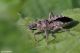DSC_9839pbase.jpg