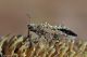 DSC_9876pbase.jpg
